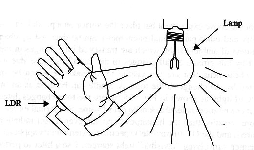 Figure 1 – The hand is not completely opaque.
