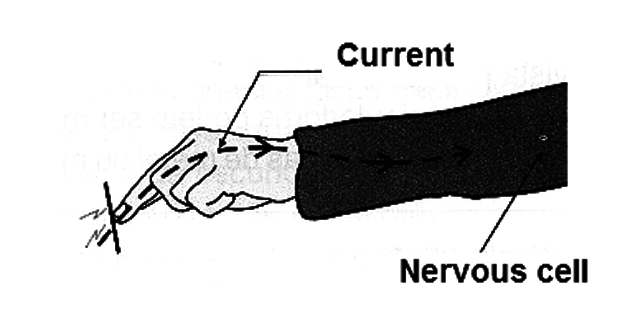 Figure 1 - Electrical currents driving nerve cells, causing shock.
