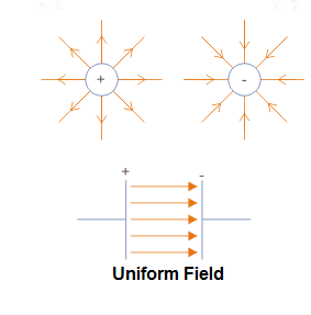 Figure 5
Figure 5