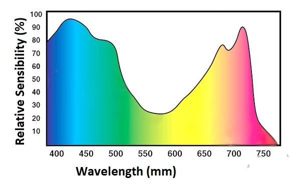 Figure 2 - Typical absorption spectrum of a plant
