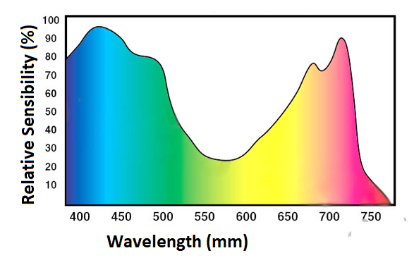 Figure 2 - Typical absorption spectrum of a plant
