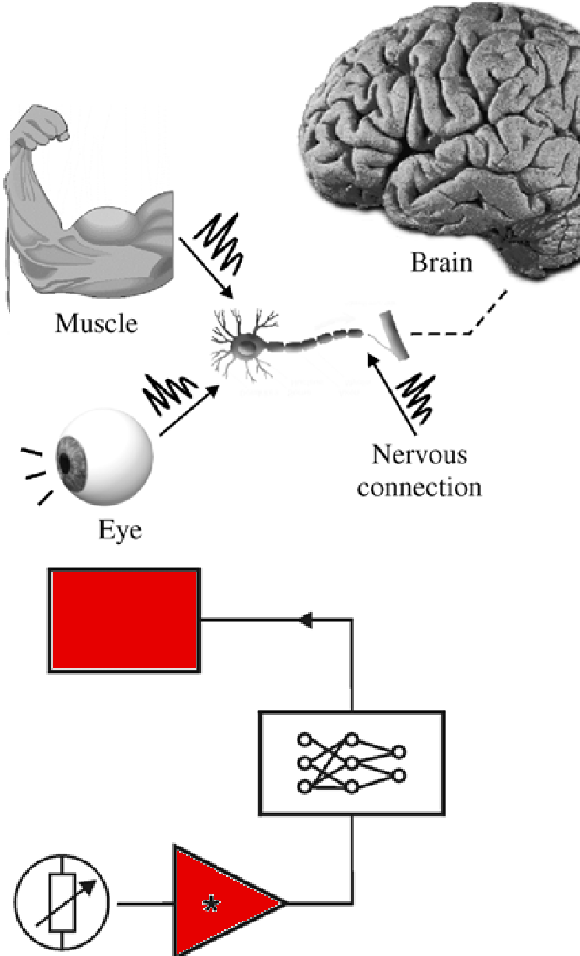 Figure 5 Addning intelligence via a neural network.
