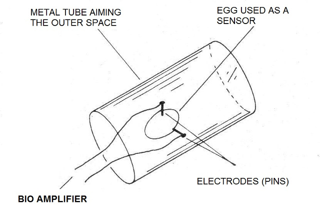 Figure 3 - A life sensor with an egg
