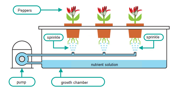 Figure 3 - Simple system
