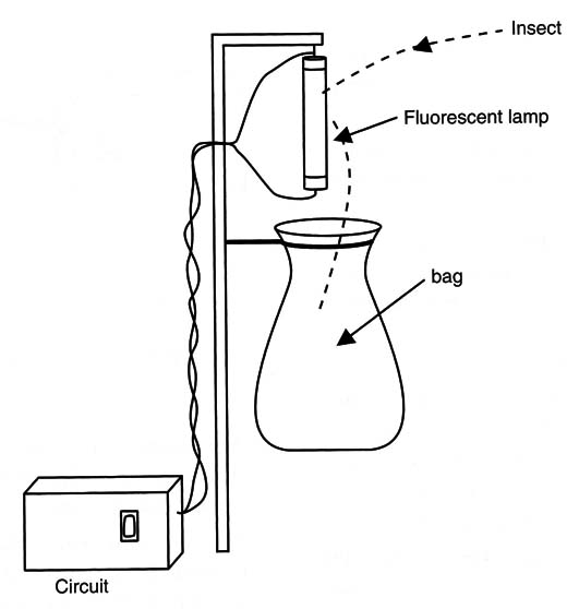 Figure 6 – Complete construction of the bionic trap
