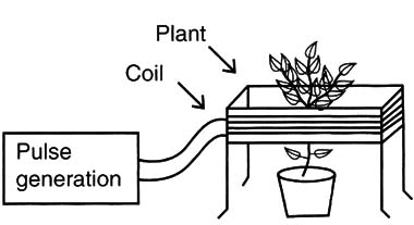 Figure 1 – Experiments with plants
