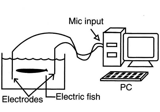 Figure 3 – Using a computer
