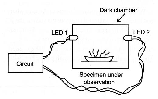 Figure 6 – An experiment using the LEDs
