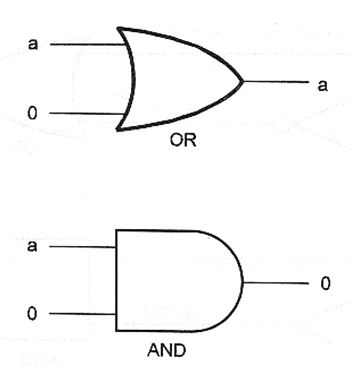 Figura 1

