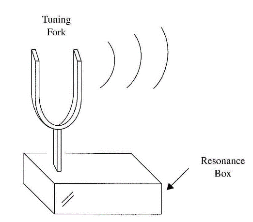 Figure 1 -  Common tuning fork.
