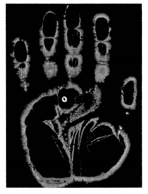  Figure 1 - Aura of the human hand taken by a Kirlian camera. Analysis of the color version can reveal health problems in patients, according to paranormal researchers and many medical doctors. Source: photo courtesy of Parascope (color photo can be viewed at www.parascope.com).
