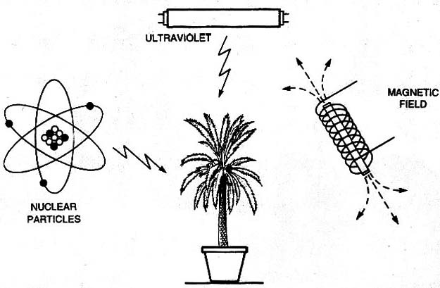 All living organisms exhibit hormonal levels and/or other physiological functions that are “governed” by the day/night cycle and/or other external influences, including ultraviolet and infrared radiation, magnetic and electric fields, nuclear radiation, etc.
