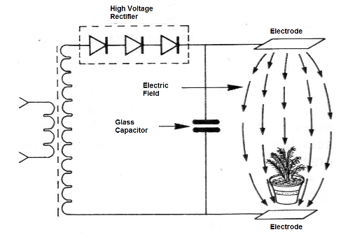 Figure 4 - Creating a constant field
