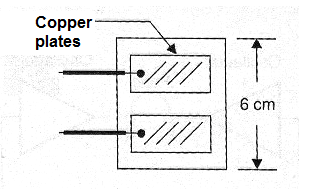 Figure 6 - Electrodes with plugs
