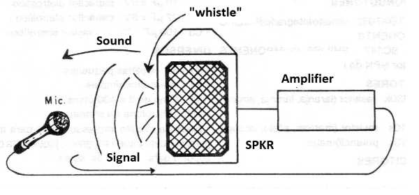Figure 2 - Microphone
