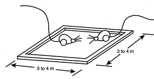 Figure 3 – RobComs in the arena
Figure 3 – RobComs in the arena