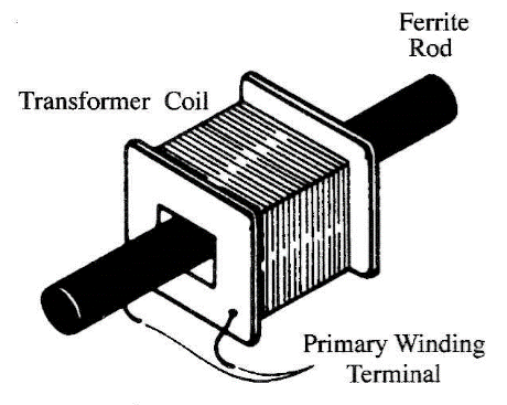 Figure 3 - Detail of Xl.
