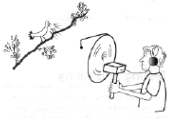 Figure 7 - Using a parabolic shell.
